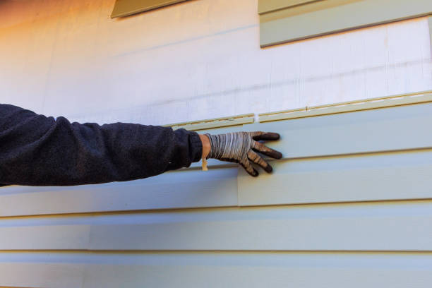 Professional Siding in Trenton, MO